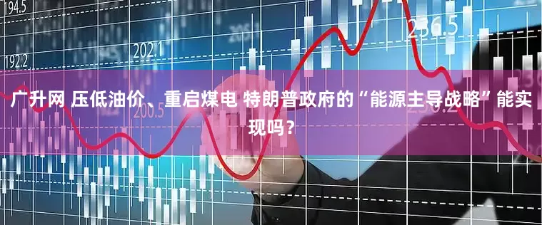 广升网 压低油价、重启煤电 特朗普政府的“能源主导战略”能实现吗？