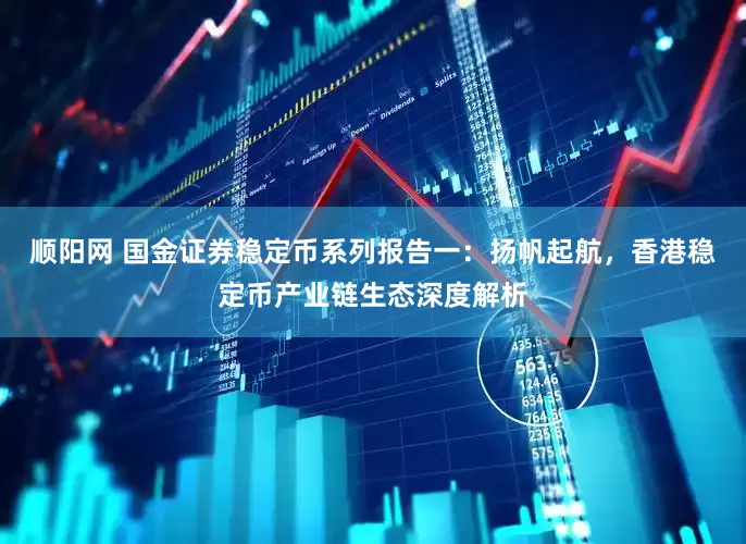 顺阳网 国金证券稳定币系列报告一：扬帆起航，香港稳定币产业链生态深度解析